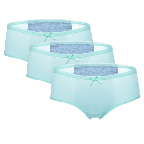 Lots de 3 culottes menstruelles pour femmes