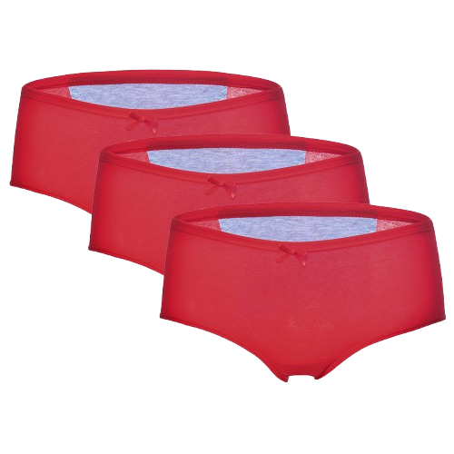 Lots de 3 culottes menstruelles pour femmes